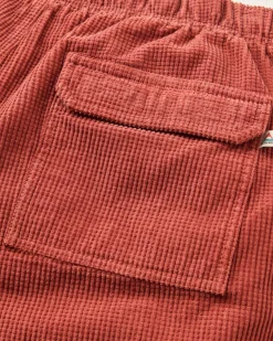Herren Apex Grid Cord Short