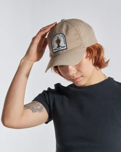 Oakash 6 Panel Cap
