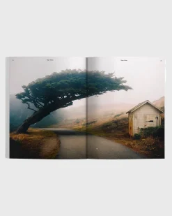 Waves & Woods Ausgabe 39